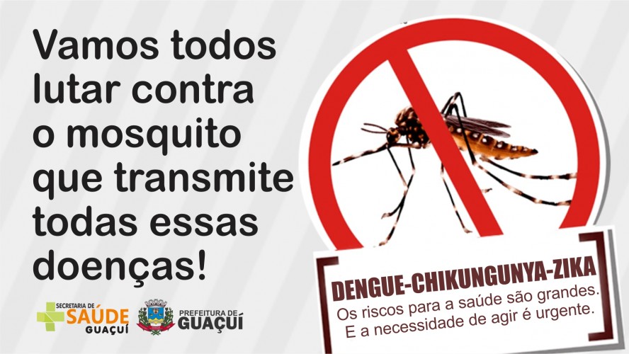 Vamos todos lutar contra o mosquito  que transmite todas essas doenças!