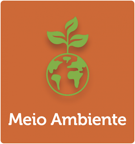 Meio Ambiente