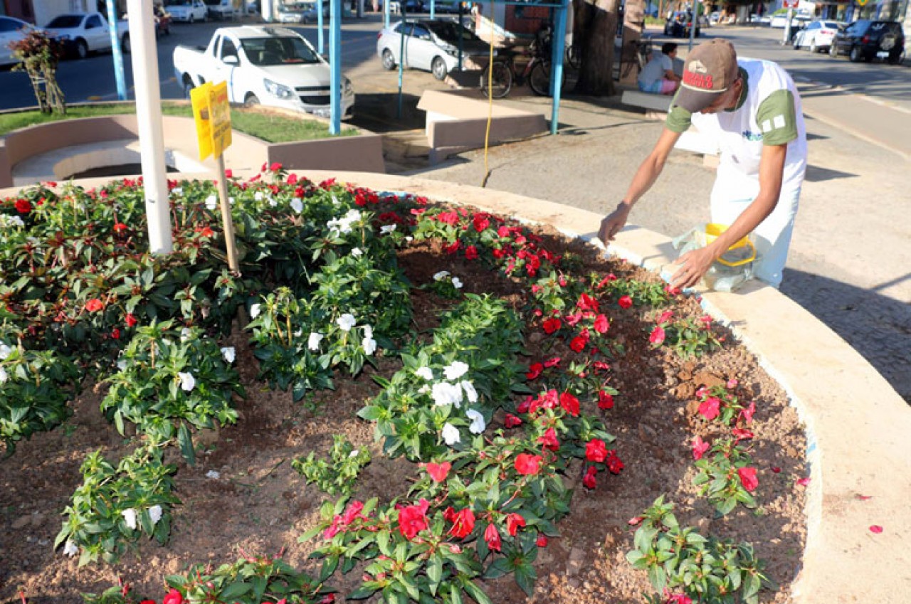 Município pede que população denuncie furto de plantas