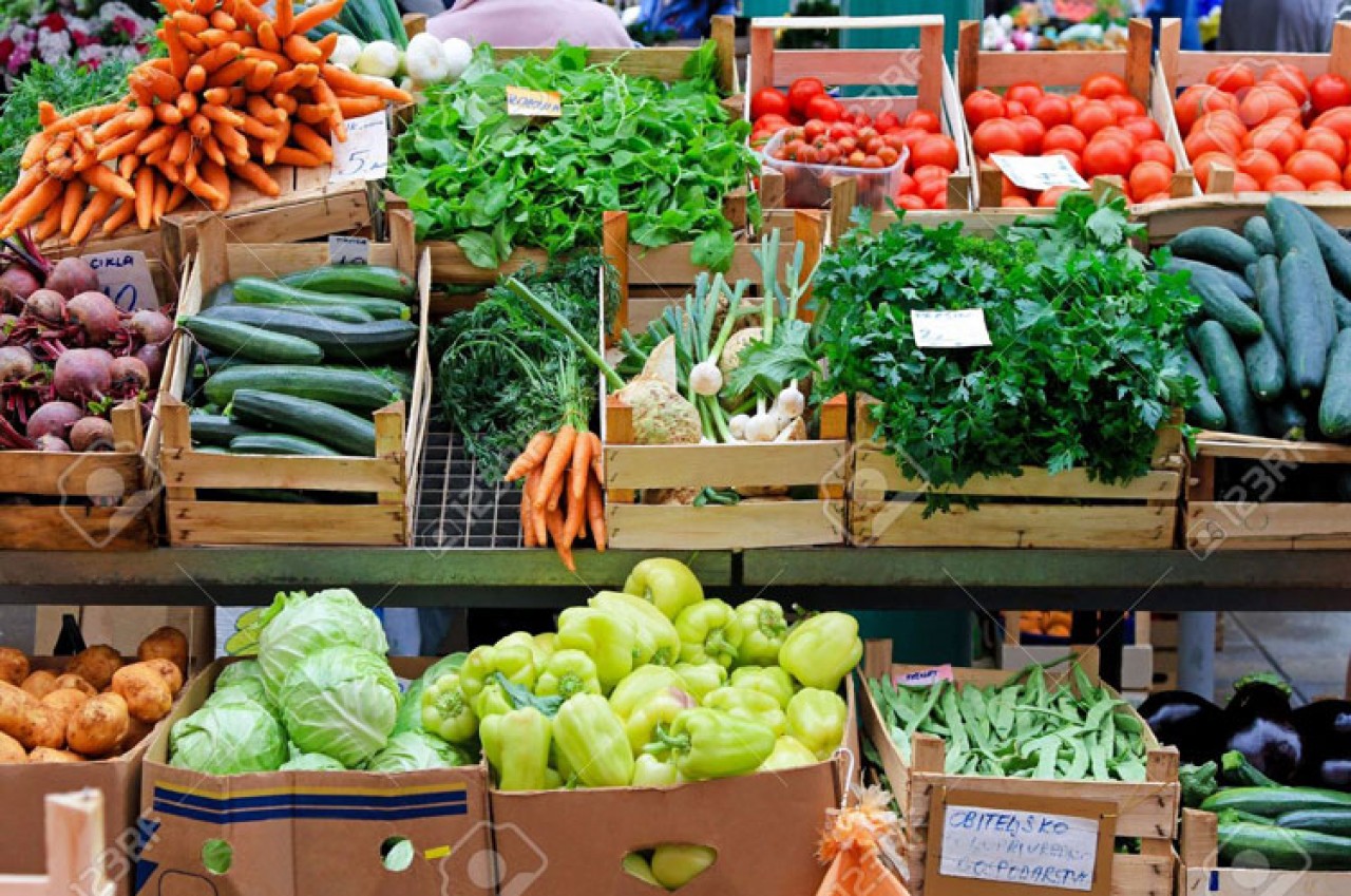 Produtores participam de curso sobre Compras Governamentais