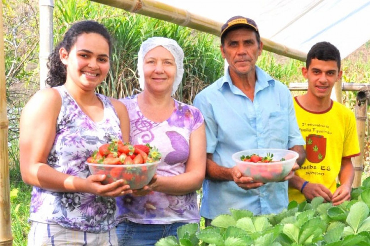 Vendas da agricultura familiar para o governo é tema de seminário