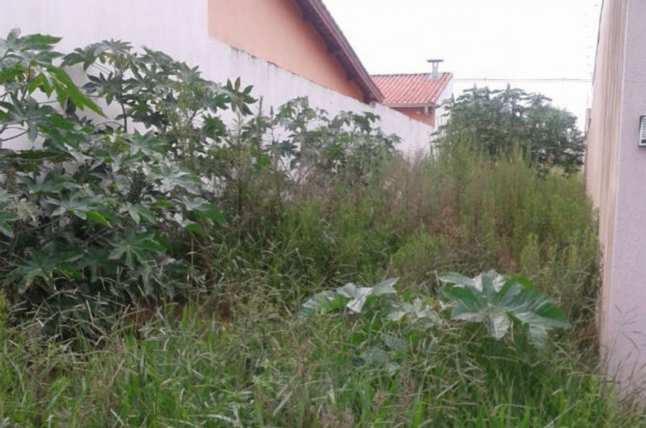 Município vai multar quem não manter lotes e terrenos limpos