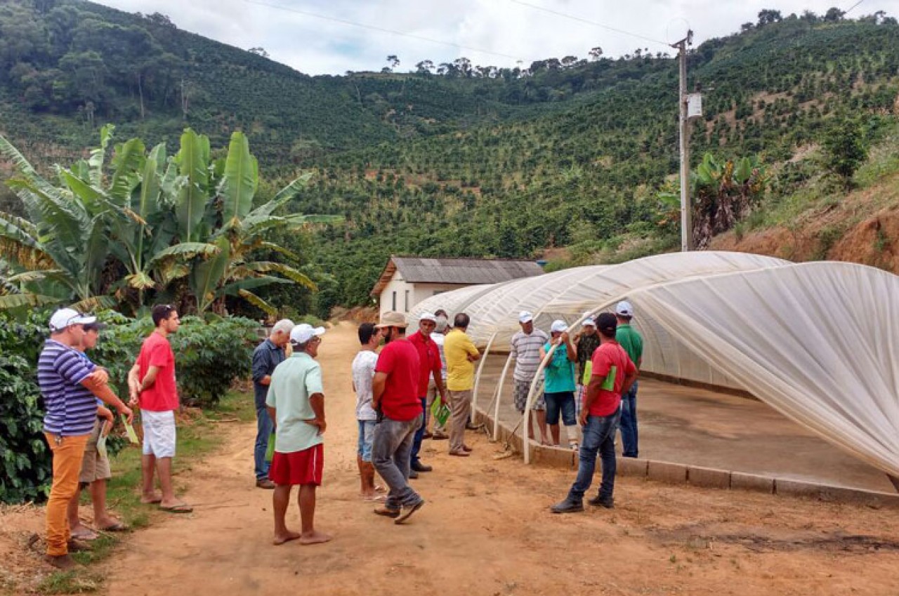 Realizado Treinamento de Colheita e Pós Colheita de Café em Guaçuí