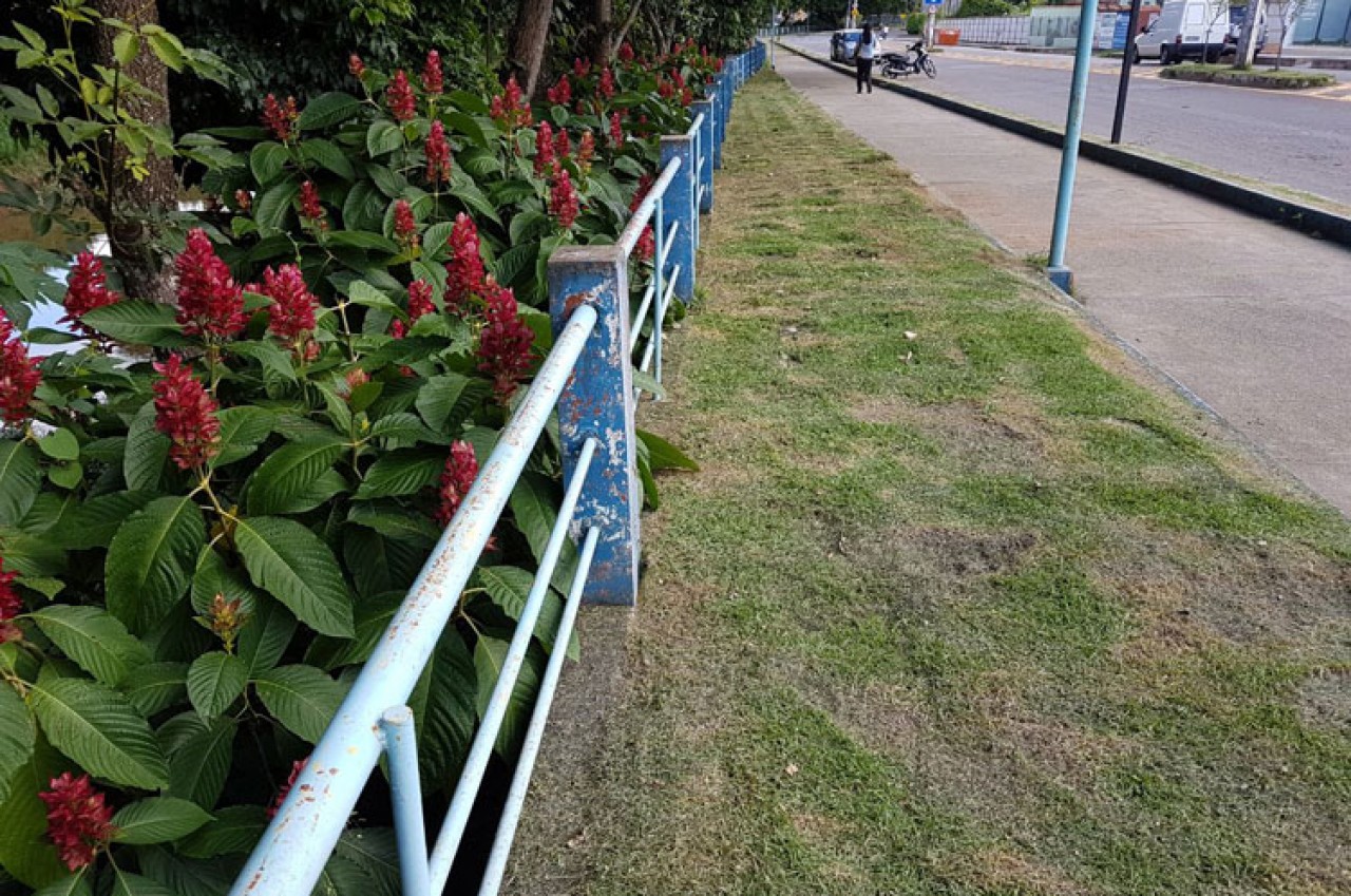 Prefeitura prepara Guaçuí para Festival de Inverno e Feira do Verde
