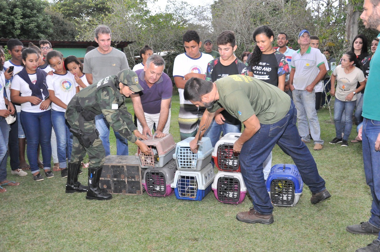 Soltura de pássaros marca final da Feira do Verde