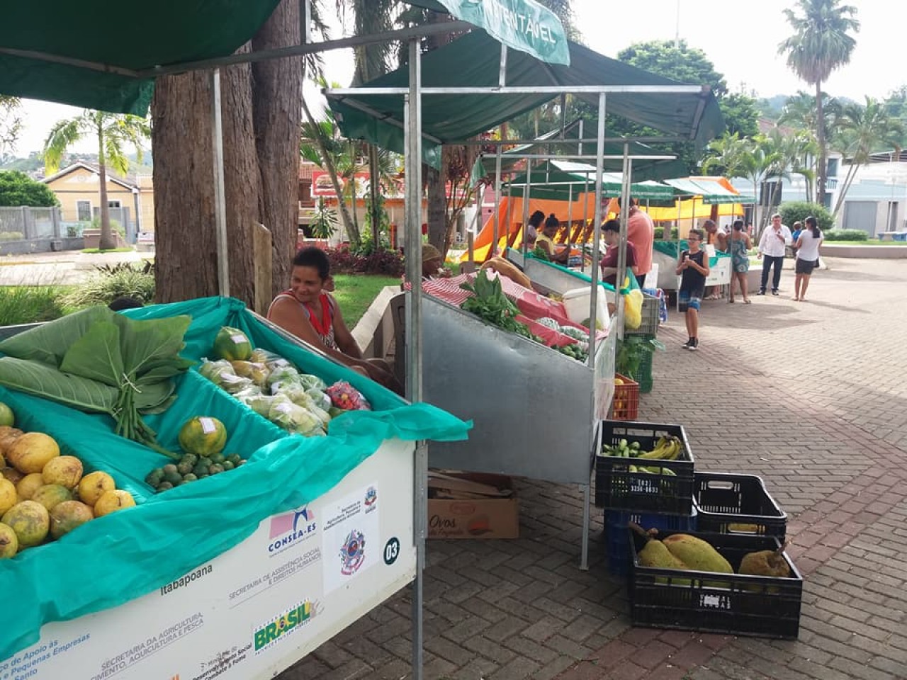 Projeto marca parceria entre Feira Agroecológica e Lar dos Idosos