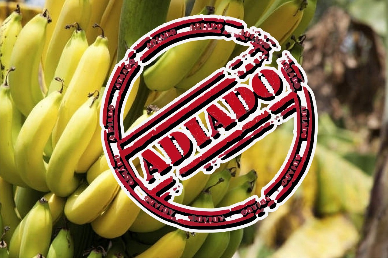 Festa da Banana em São Miguel do Caparaó é adiada