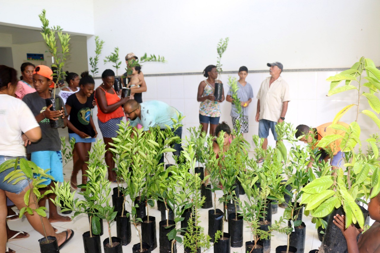 Semmam distribui mudas de frutíferas no bairro Horto Florestal