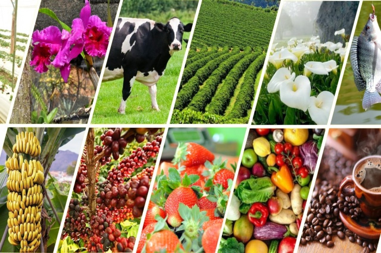 Prática Tributária Rural será tema de encontro em Guaçuí