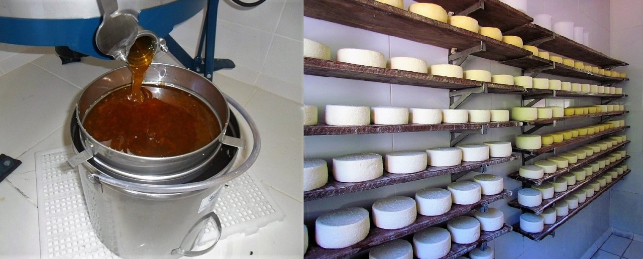 SIM: selo amplia perspectiva de mercado para produtos da agroindústria de Guaçuí