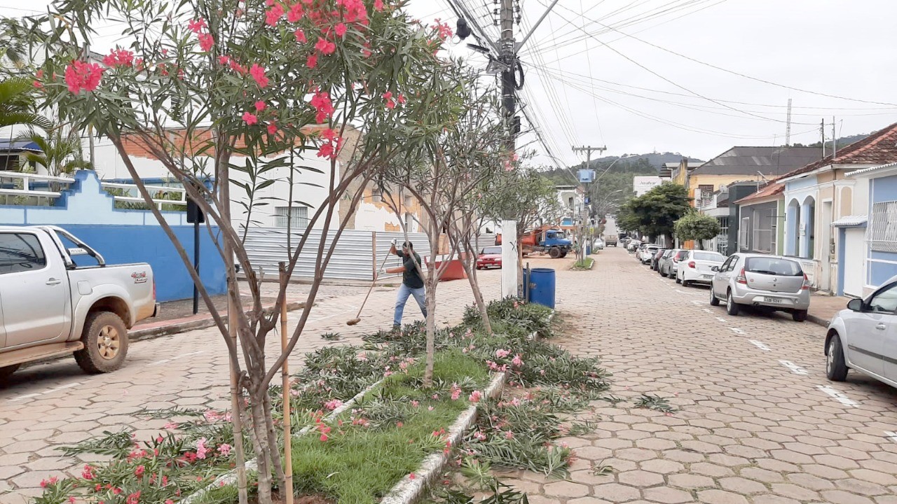 Meio Ambiente realiza manutenção de plantas ornamentais