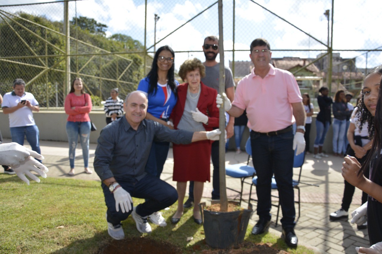 PRAÇA DO MEIO AMBIENTE RECEBE O PLANTIO DE UM JEQUITIBÁ-ROSA DE QUATRO METROS DE ALTURA