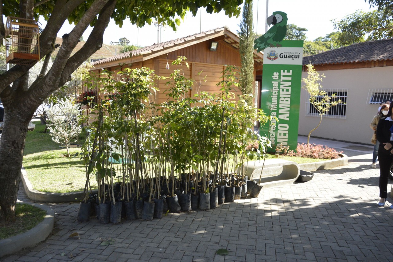 PROJETO TROCA SUSTENTÁVEL: 650 MUDAS DE IPÊS SERÃO DISTRIBUÍDAS PELA SECRETARIA DE MEIO AMBIENTE