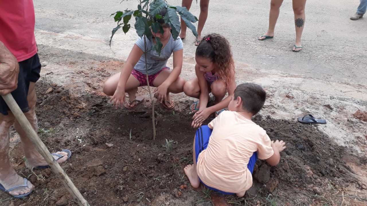 CINQUENTA IPÊS SÃO PLANTADOS NO DISTRITO DE SÃO PEDRO DE RATES