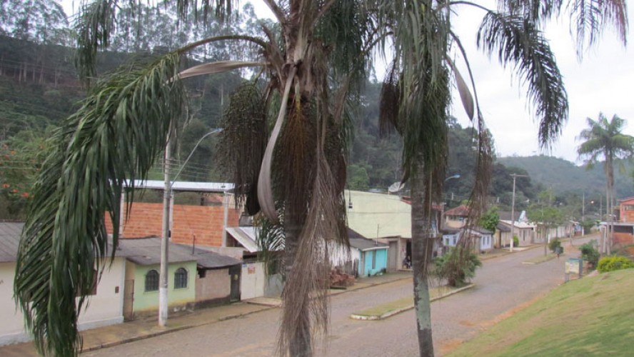 A primeira audiência pública sobre o PPA, em Guaçuí, vai acontecer no distrito de São Pedro de Rates, dia 1º de agosto.