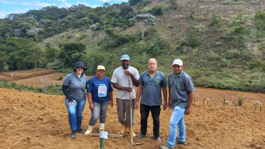 SECRETARIA DE AGRICULTURA PARTICIPA DE ESTUDO DE MELHORAMENTO GENÉTICO DA MANDIOCA