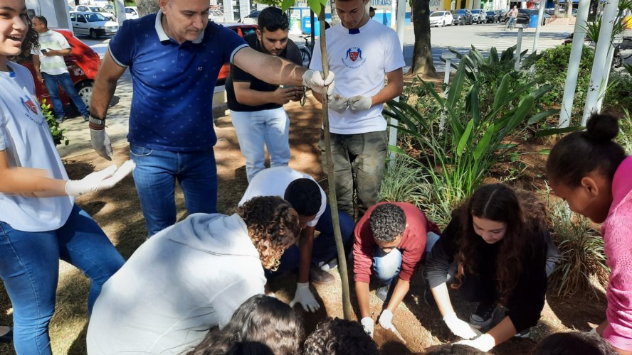 PRAÇA JOÃO ACACINHO RECEBE QUATRO ÁRVORES SÍMBOLO DO ESTADO DO ESPÍRITO SANTO