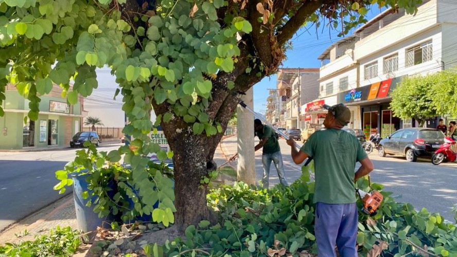 SEMMAM INTENSIFICA SERVIÇOS DE PODA EM ÁRVORES EM VÁRIOS PONTOS DE GUAÇUÍ