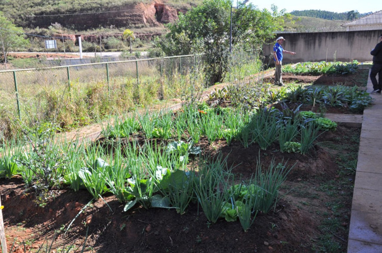 Hortas nas escolas de Guaçuí para plantar cidadania