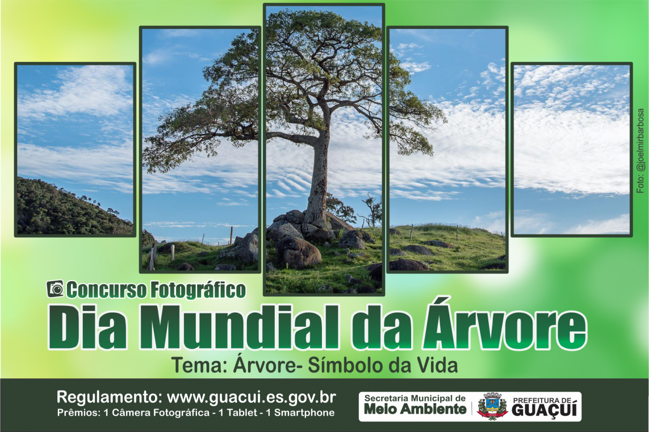 Meio Ambiente realiza Concurso Fotográfico do Dia Mundial da Árvore Meio Ambiente realiza Concurso Fotográfico do Dia Mundial da Árvore