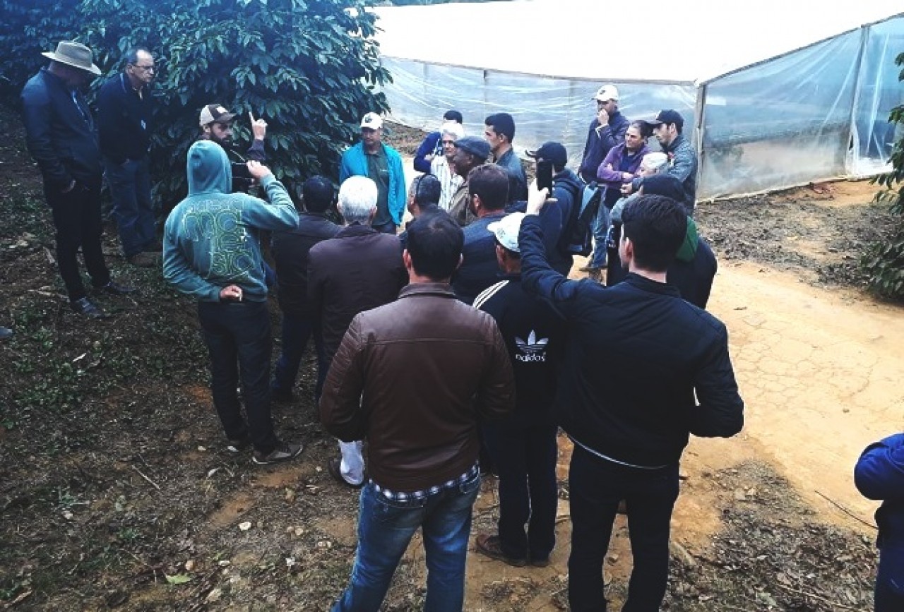 Produtores de Guaçuí conhecem experiência de sucesso em cafés especiais