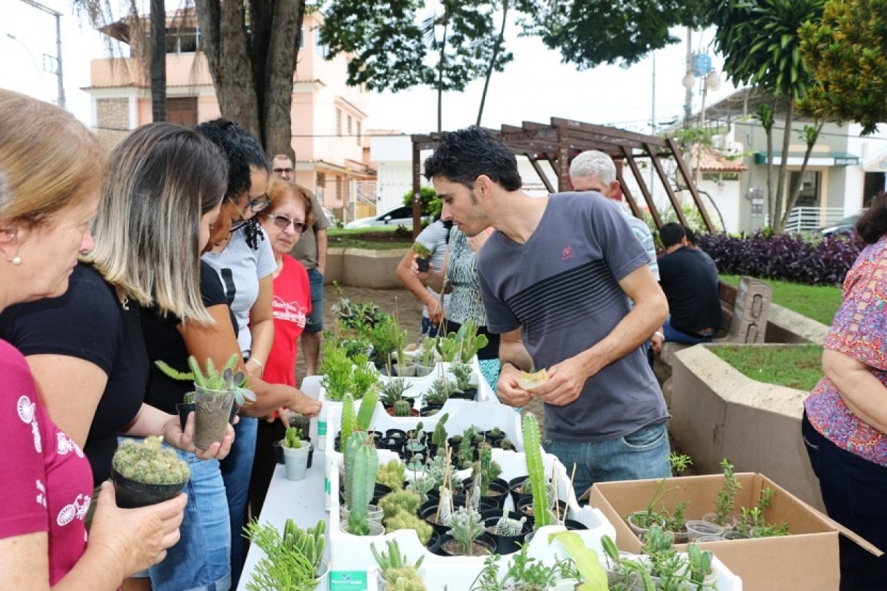 I Encontro de colecionadores de cactos e suculentas é sucesso em Guaçuí I Encontro de colecionadores de cactos e suculentas é sucesso em Guaçuí