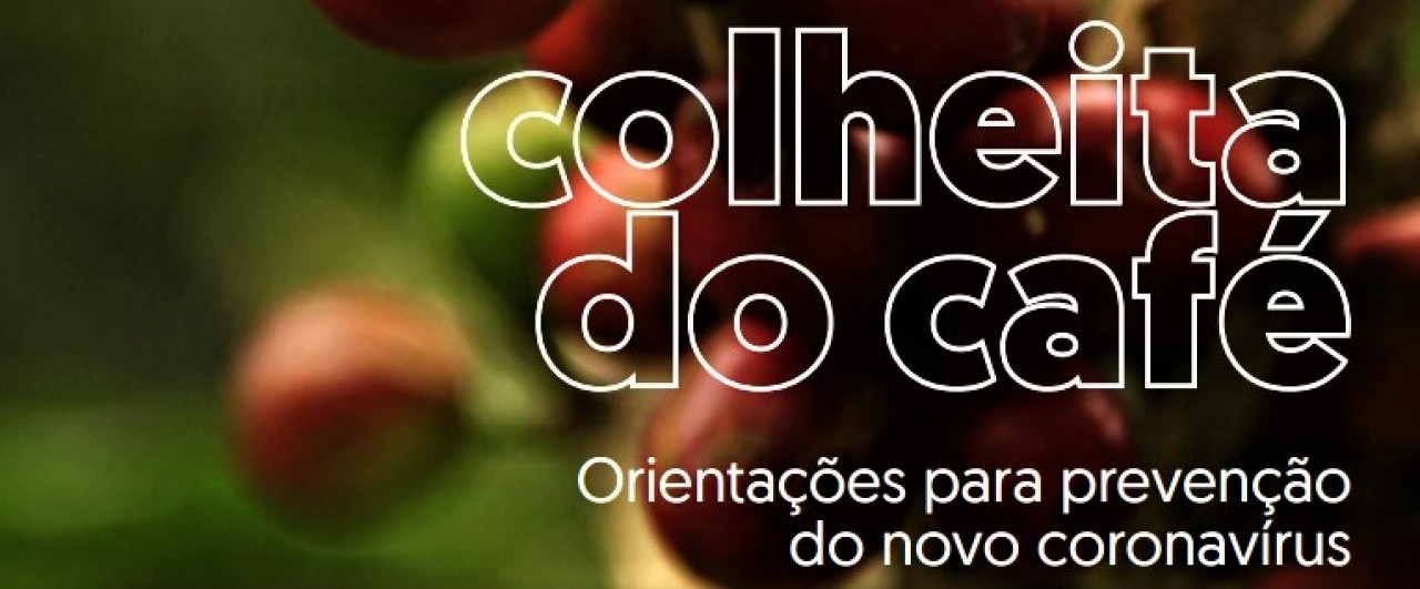 Site da Prefeitura de Guaçuí disponibiliza cartilha da Seag sobre colheita do café