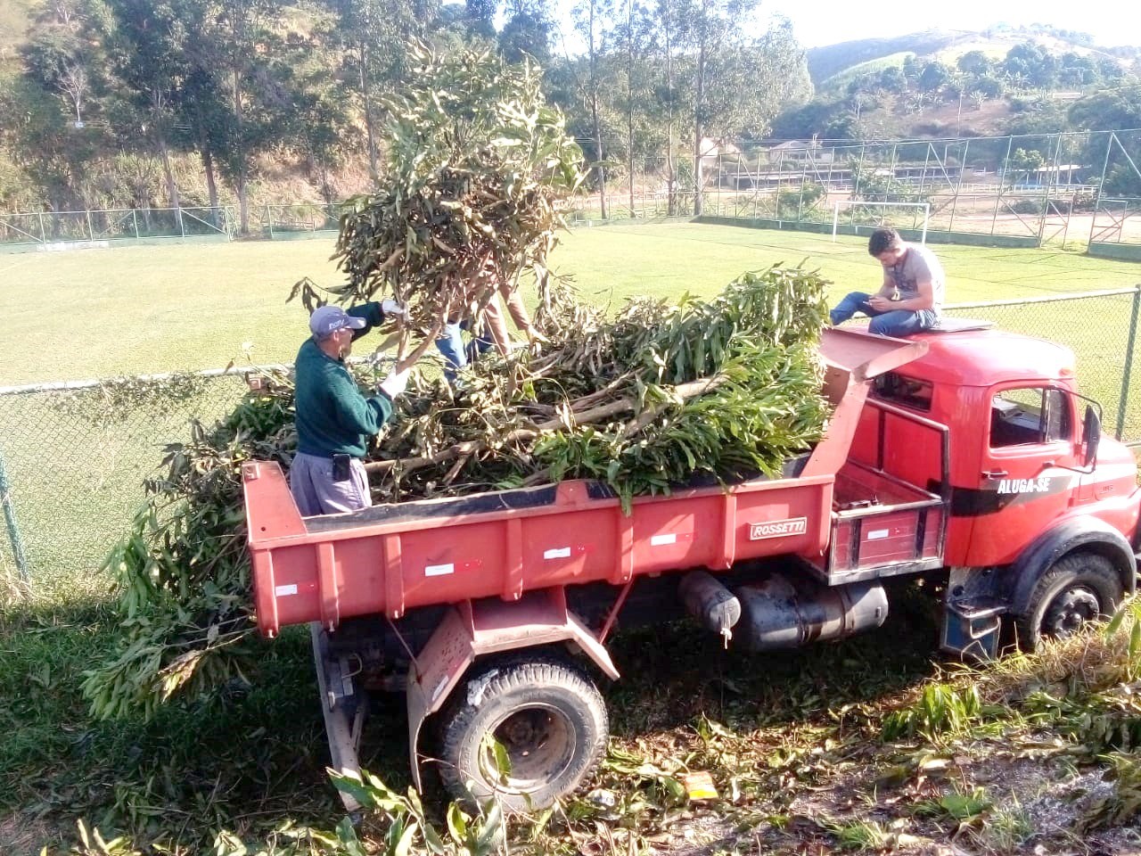 Semmam lança campanha para doação de resíduos de podas Semmam lança campanha para doação de resíduos de podas