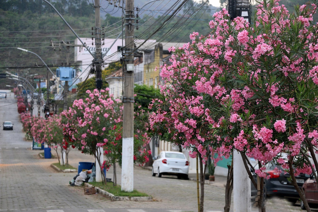 A cidade de Guaçuí está ainda mais colorida com a chegada da primavera