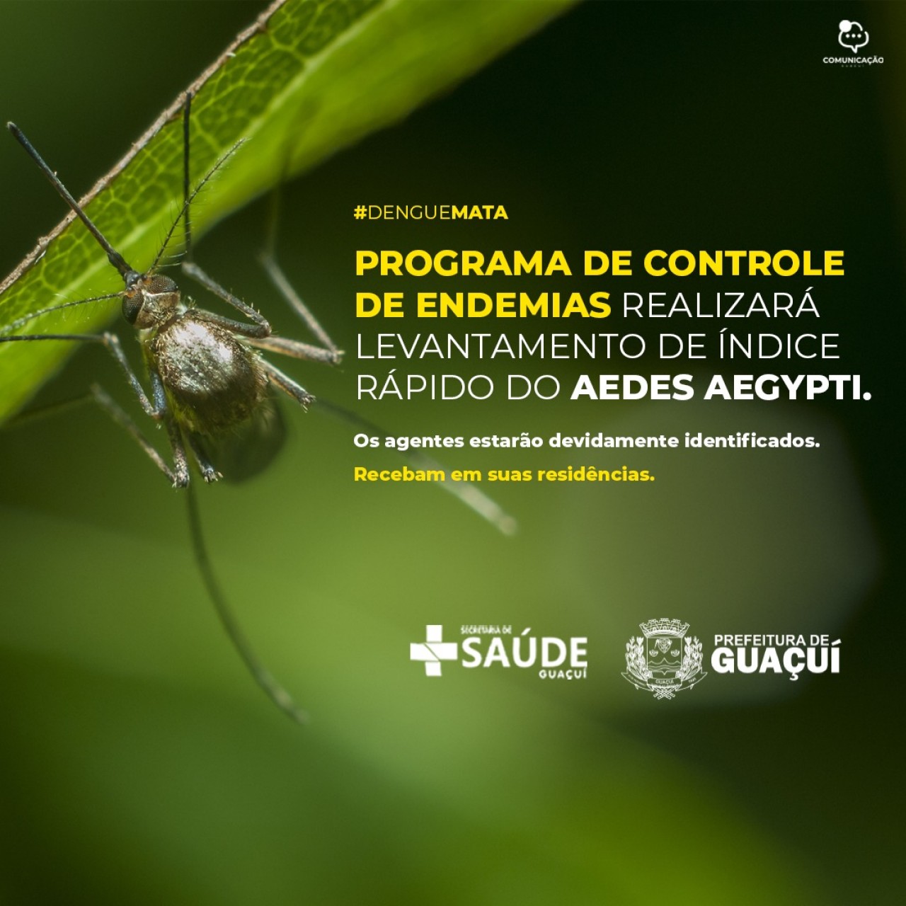 Programa de controle de endemias realizará levantamento de índice rápido do Aedes aegypti.