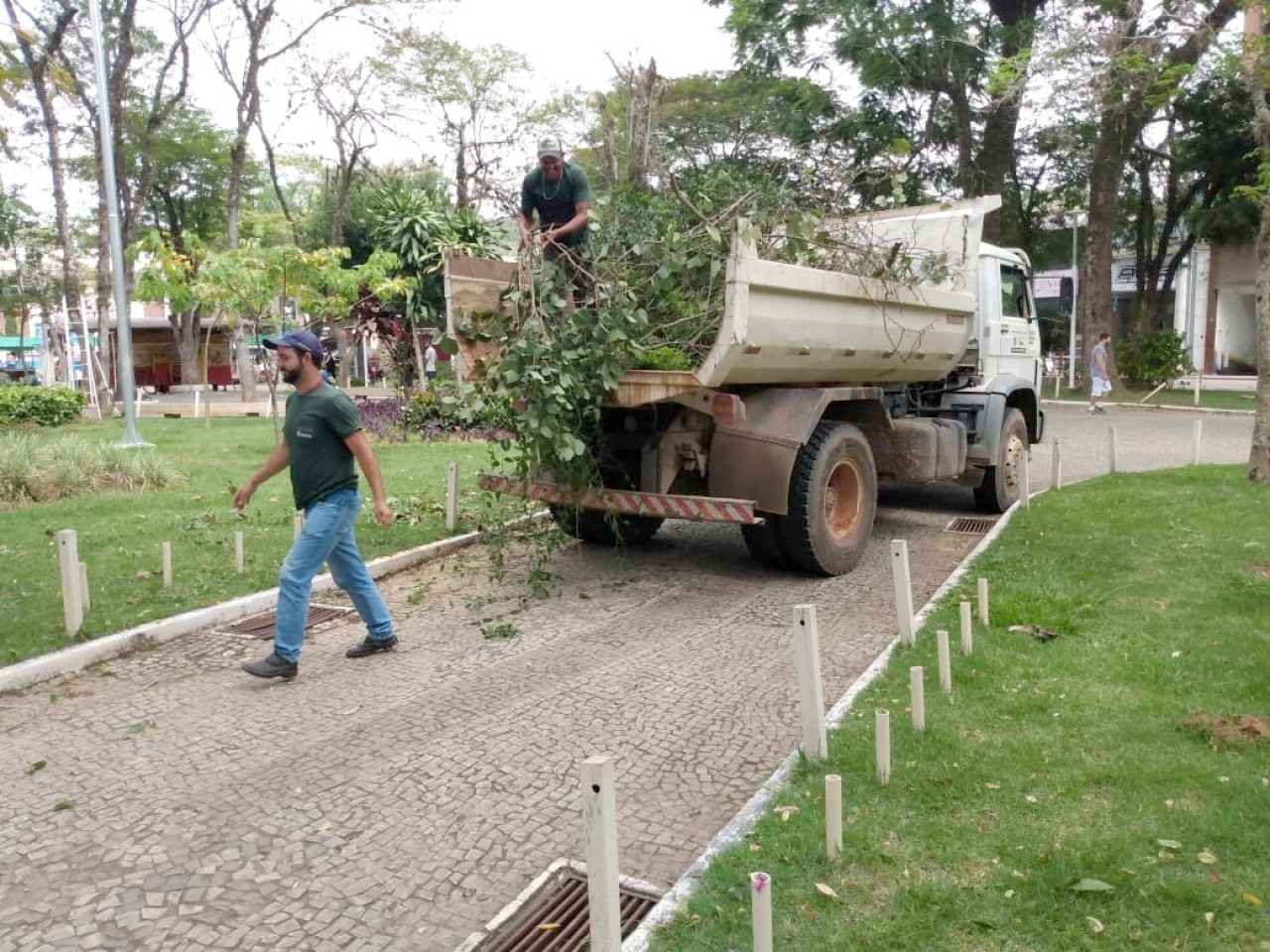 Árvores da Praça João Acacinho recebem poda de limpeza