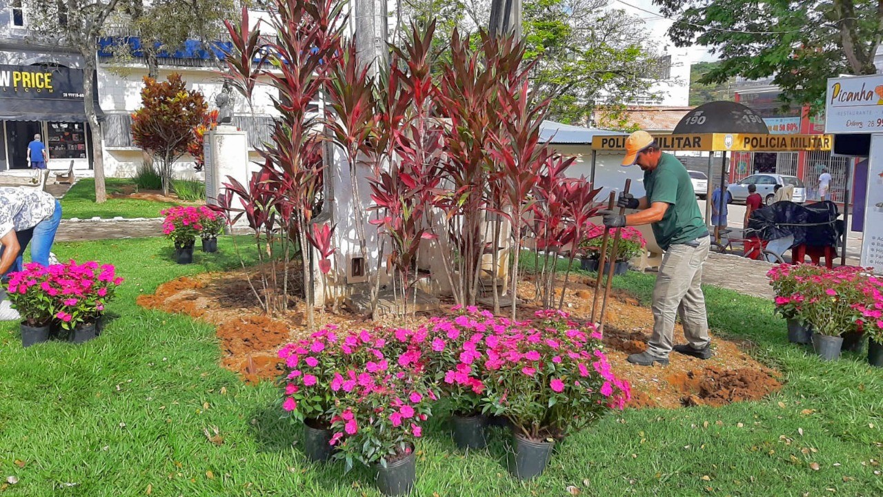 CANTEIRO NA PRAÇA DA BANDEIRA É REVITALIZADO COM NOVOS SUNPATIENS CANTEIRO NA PRAÇA DA BANDEIRA É REVITALIZADO COM NOVOS SUNPATIENS