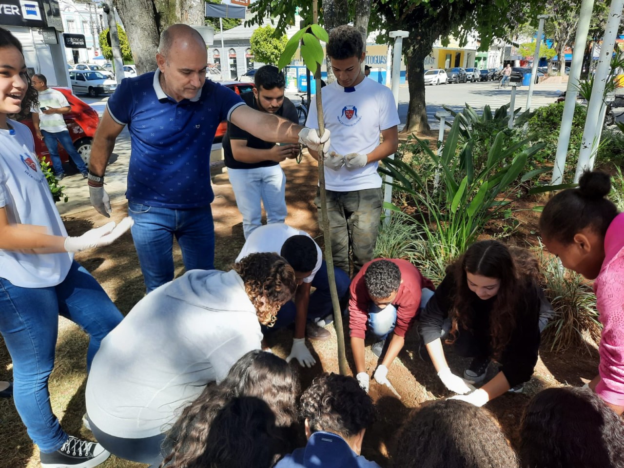PRAÇA JOÃO ACACINHO RECEBE QUATRO ÁRVORES SÍMBOLO DO ESTADO DO ESPÍRITO SANTO PRAÇA JOÃO ACACINHO RECEBE QUATRO ÁRVORES SÍMBOLO DO ESTADO DO ESPÍRITO SANTO