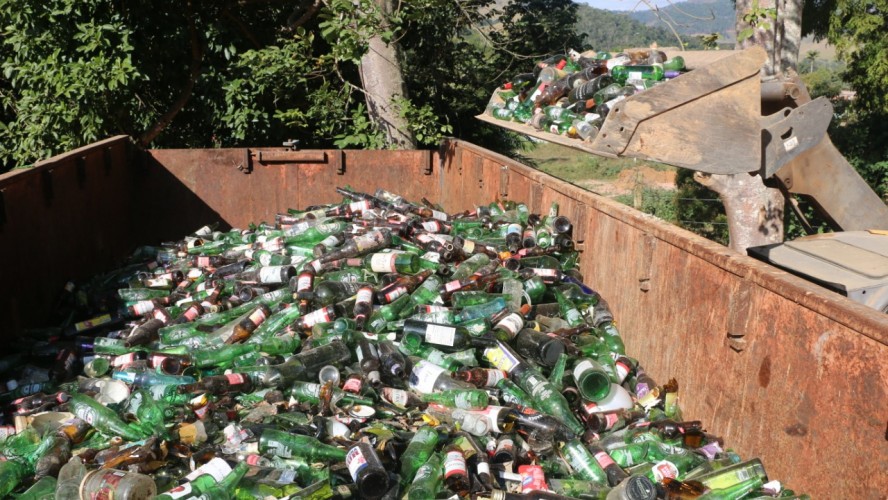 PORTAL REFLORESTAR PORTAL REFLORESTAR