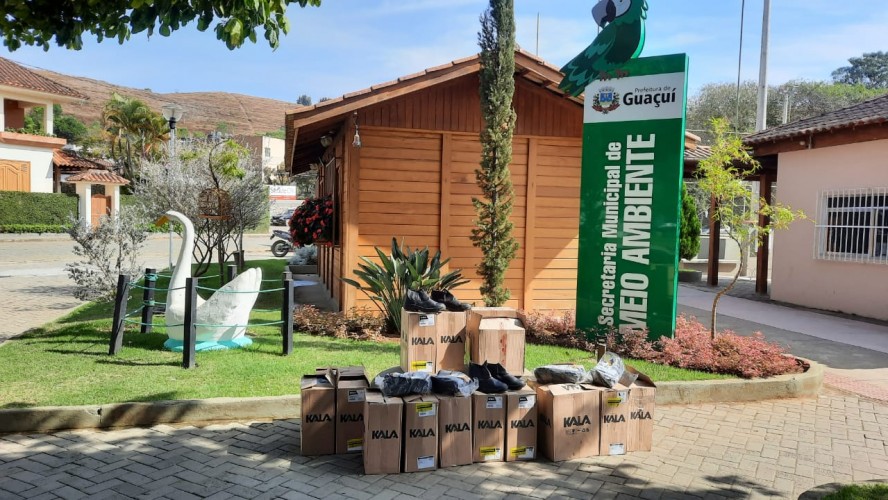 PORTAL REFLORESTAR PORTAL REFLORESTAR