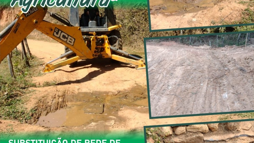 1° AGRO GUAÇUÍ 1° AGRO GUAÇUÍ