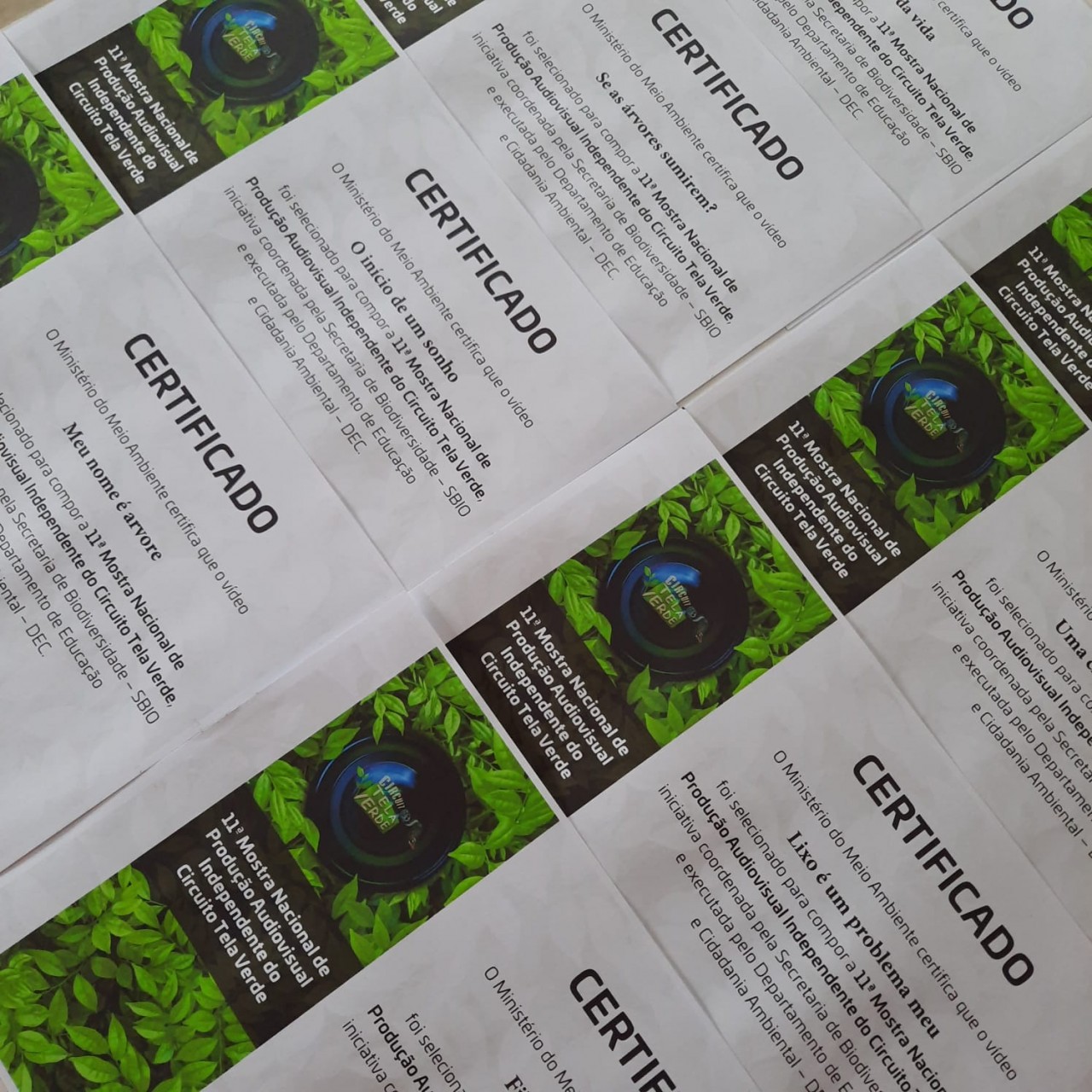 MINISTÉRIO DO MEIO AMBIENTE CERTIFICA OITO CURTAS-METRAGENS DE GUAÇUÍ MINISTÉRIO DO MEIO AMBIENTE CERTIFICA OITO CURTAS-METRAGENS DE GUAÇUÍ