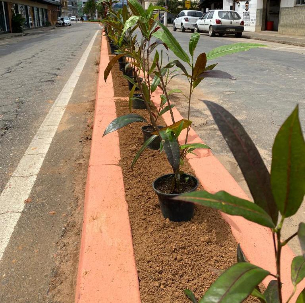 SECRETARIA DE MEIO AMBIENTE PROMOVE MAIS UMA REVITALIZAÇÃO DE CANTEIRO EM GUAÇUÍ SECRETARIA DE MEIO AMBIENTE PROMOVE MAIS UMA REVITALIZAÇÃO DE CANTEIRO EM GUAÇUÍ