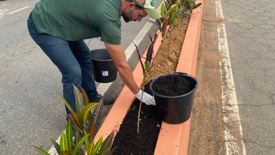 PORTAL REFLORESTAR PORTAL REFLORESTAR