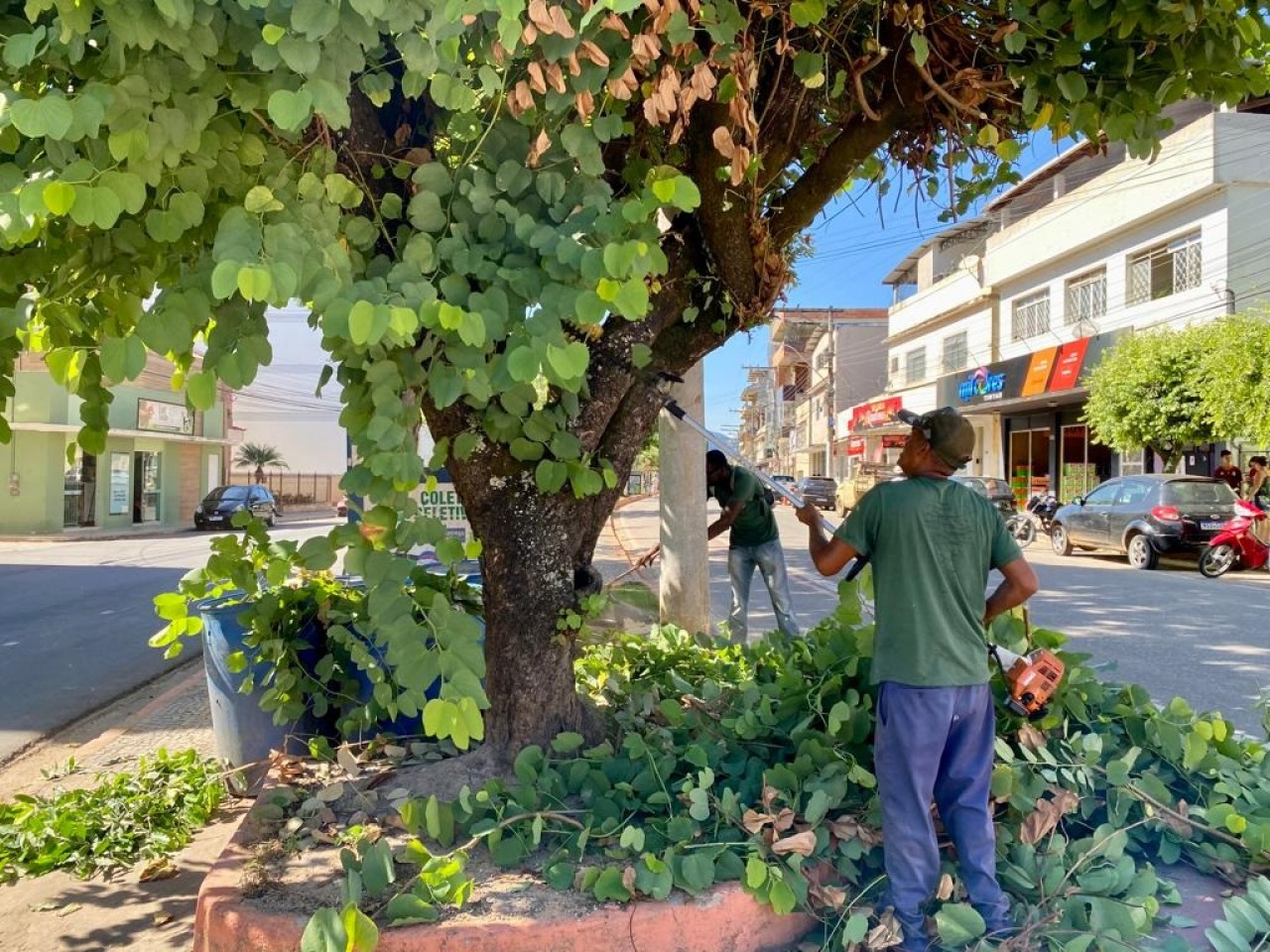 SEMMAM INTENSIFICA SERVIÇOS DE PODA EM ÁRVORES EM VÁRIOS PONTOS DE GUAÇUÍ SEMMAM INTENSIFICA SERVIÇOS DE PODA EM ÁRVORES EM VÁRIOS PONTOS DE GUAÇUÍ