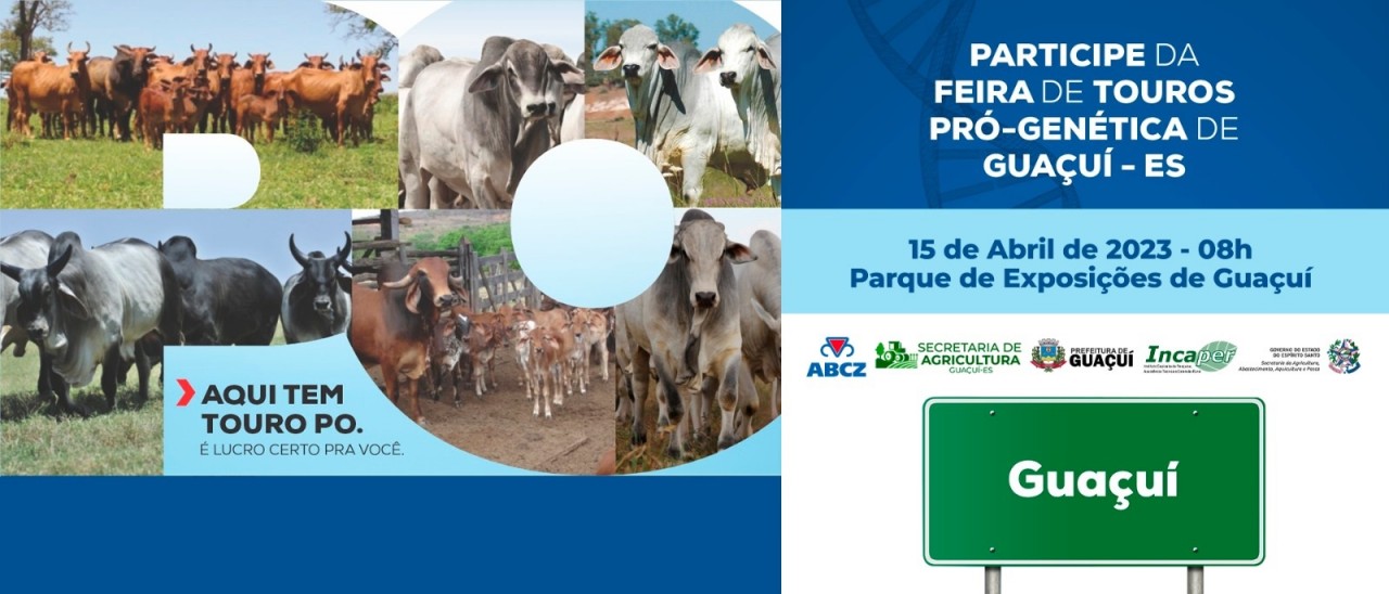 VEM AÍ A 1ª FEIRA DE TOUROS PRÓ-GENÉTICA DE GUAÇUÍ VEM AÍ A 1ª FEIRA DE TOUROS PRÓ-GENÉTICA DE GUAÇUÍ