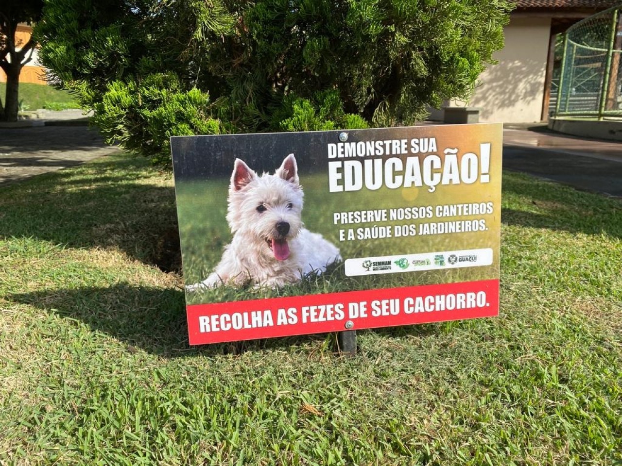 SEMMAM INSTALA PLACAS EM ÁREAS AJARDINADAS PARA SENSIBILIZAR TUTORES DE CÃES SEMMAM INSTALA PLACAS EM ÁREAS AJARDINADAS PARA SENSIBILIZAR TUTORES DE CÃES
