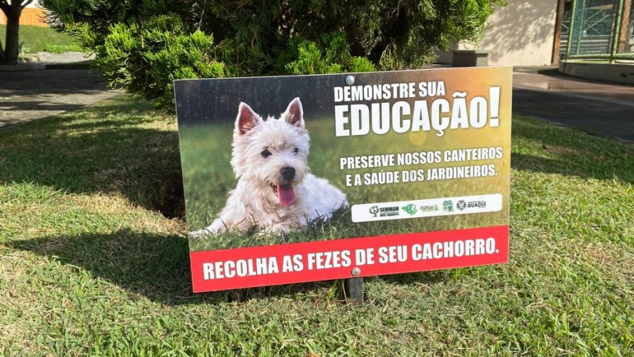 PORTAL REFLORESTAR PORTAL REFLORESTAR