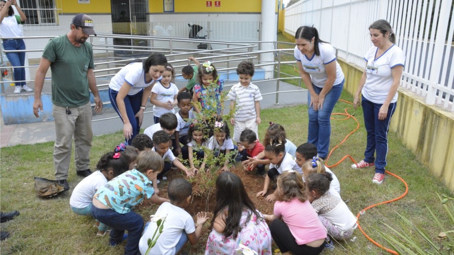 PORTAL REFLORESTAR PORTAL REFLORESTAR