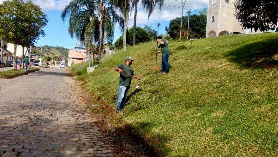 PORTAL REFLORESTAR PORTAL REFLORESTAR