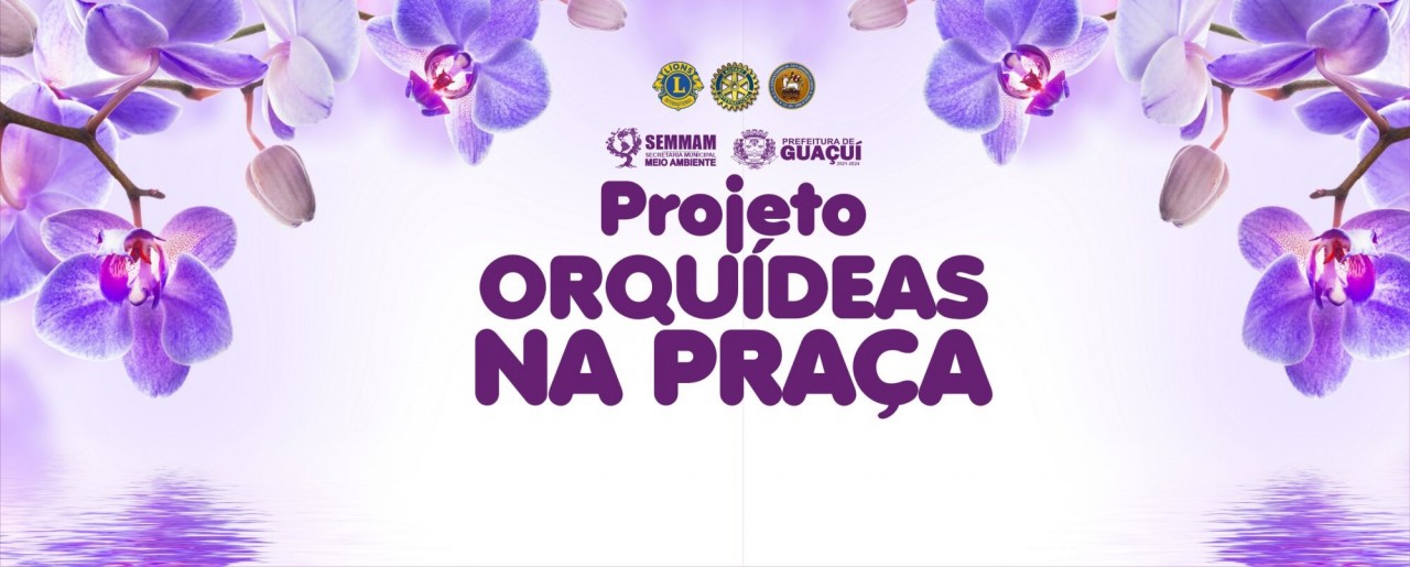 SEMMAM LANÇA A SEGUNDA EDIÇÃO DO PROJETO ORQUÍDEAS NA PRAÇA SEMMAM LANÇA A SEGUNDA EDIÇÃO DO PROJETO ORQUÍDEAS NA PRAÇA