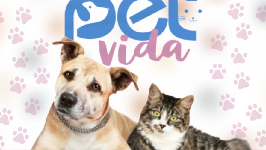 PORTAL REFLORESTAR PORTAL REFLORESTAR