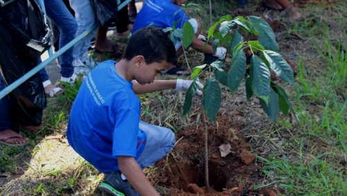 DIA DA ÁRVORE COMEMORADO COM TRÊS AÇÕES EM GUAÇUÍ DIA DA ÁRVORE COMEMORADO COM TRÊS AÇÕES EM GUAÇUÍ