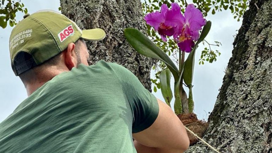 PORTAL REFLORESTAR PORTAL REFLORESTAR