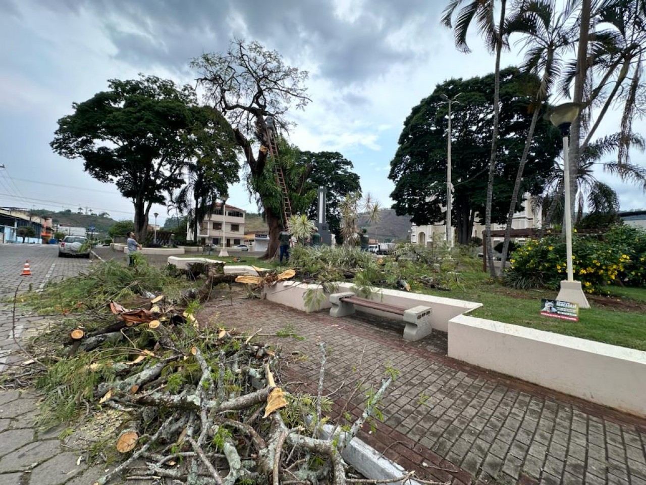 SECRETARIA DE MEIO AMBIENTE REMOVE ÁRVORE COM EXTREMO RISCO DE QUEDA NA PRAÇA DA MATRIZ SECRETARIA DE MEIO AMBIENTE REMOVE ÁRVORE COM EXTREMO RISCO DE QUEDA NA PRAÇA DA MATRIZ